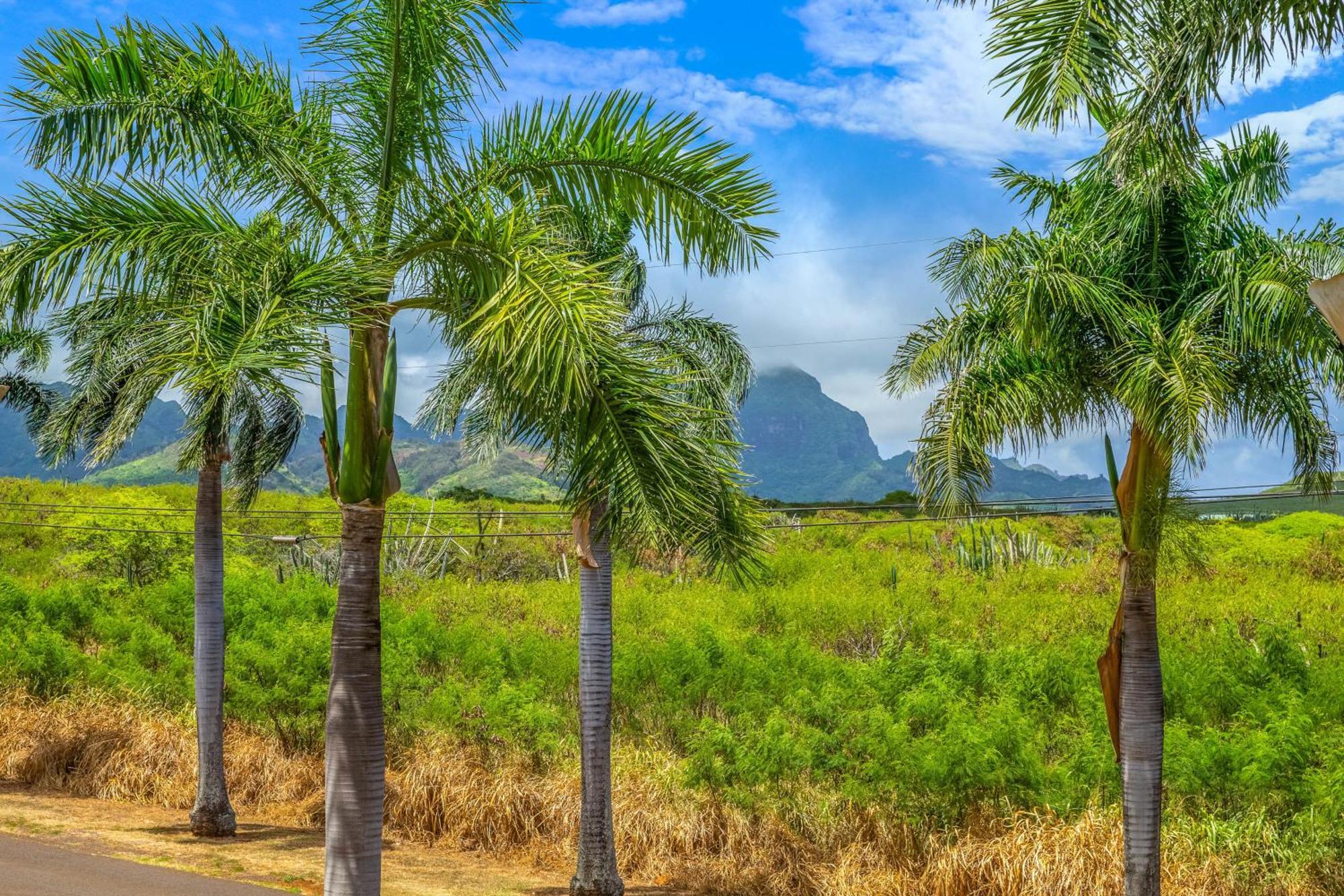 Pili Mai II Villa Koloa Rum bild